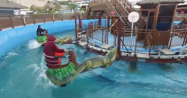 Vialand themed entertainment amusement park — Stock Video
