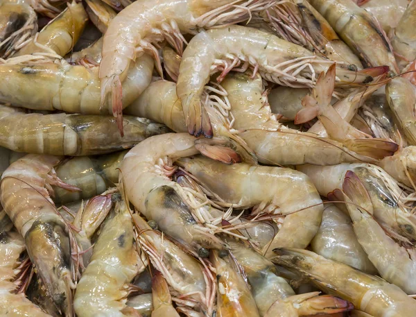 Background of small shrimps — Stock Photo, Image