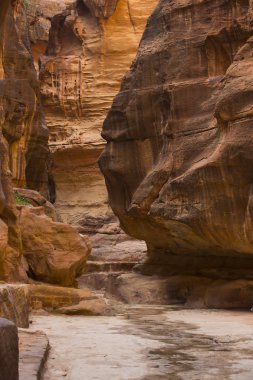 Antik kaya şehir Petra'dan terk 