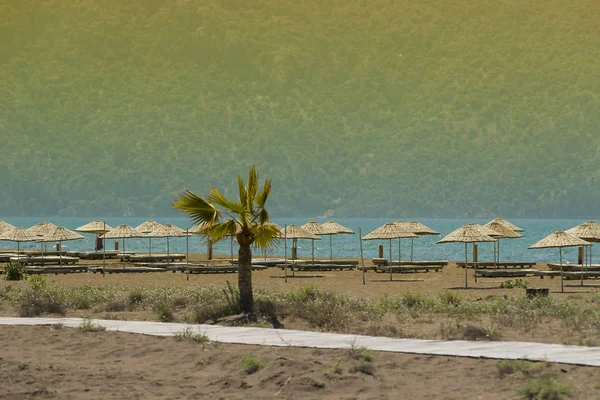 Praia de areia deserta com guarda-chuvas — Fotografia de Stock