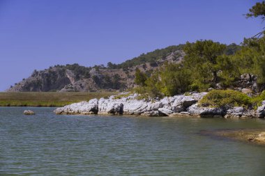 Dalyan nehir