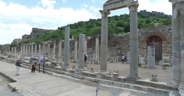 Le rovine dell'antica città di Efeso l'edificio biblioteca di Celso, i templi e le colonne dell'anfiteatro. Candidato alla Lista del Patrimonio Mondiale dell'UNESCO — Video Stock