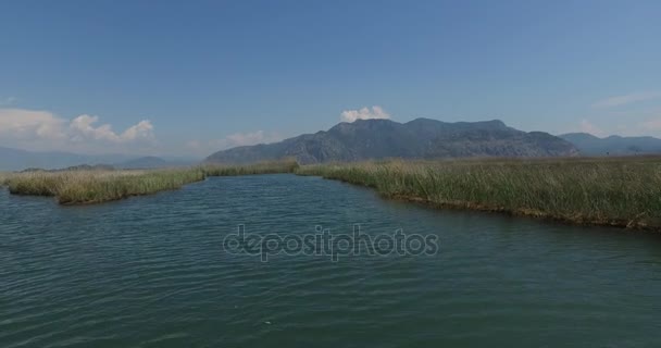 Río Dalyan con barcos turísticos — Vídeos de Stock