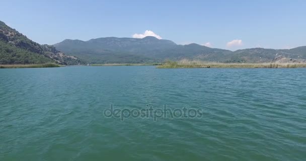 旅游船达尔扬河 — 图库视频影像