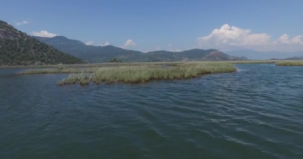 Ποταμό Dalyan με τουριστικά σκάφη — Αρχείο Βίντεο