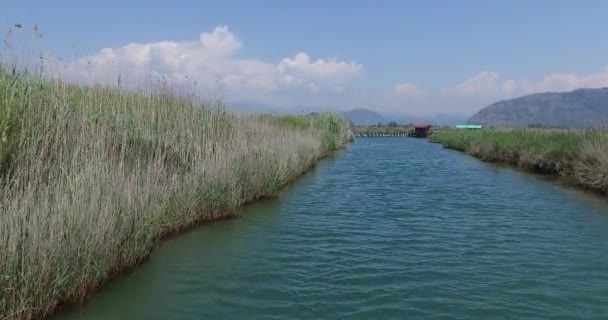 Dalyan Fluss mit Touristenbooten — Stockvideo