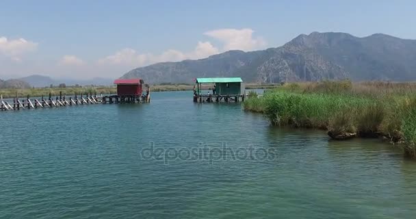 Rivière Dalyan avec des bateaux de tourisme — Video