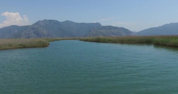 Río Dalyan con barcos turísticos — Vídeos de Stock