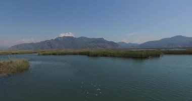 Turist teknelerle Dalyan nehir