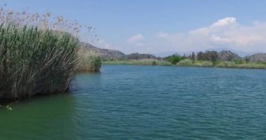 Turist teknelerle Dalyan nehir