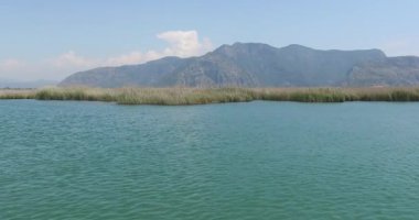 Turist teknelerle Dalyan nehir