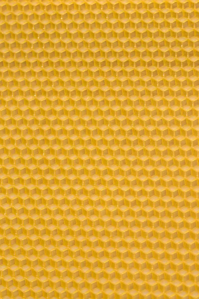 Wax bees honeycomb shot close-up — Stock Photo, Image