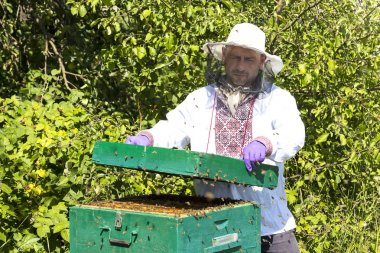 Bir adam bir arı kovanı İnşaat