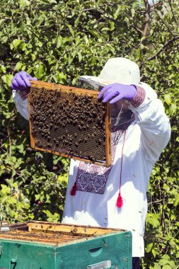 Bir adam bir arı kovanı İnşaat