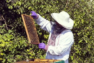 Bir adam bir arı kovanı İnşaat