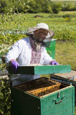 Bir adam bir arı kovanı İnşaat