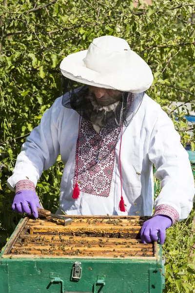Bir adam bir arı kovanı İnşaat