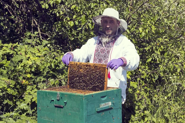 Bir adam bir arı kovanı İnşaat