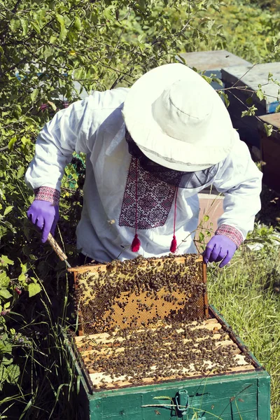 Un uomo lavora in un apiario — Foto Stock