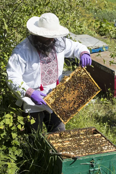 Bir adam bir arı kovanı İnşaat