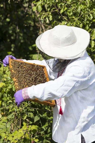 Ein Mann arbeitet in einem Bienenhaus — Stockfoto