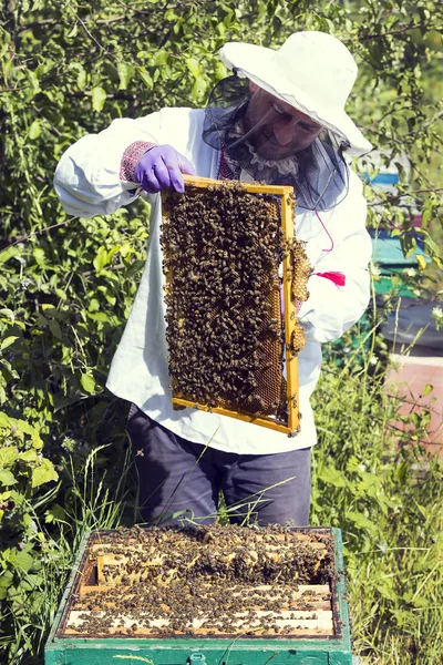 Bir adam bir arı kovanı İnşaat