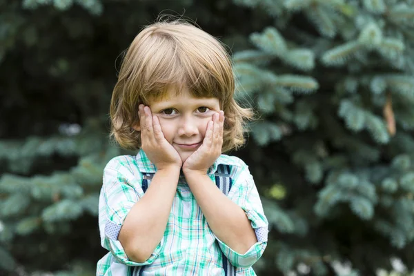 Bir çocuğun portresi.