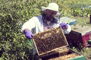 Bir adam bir arı kovanı İnşaat