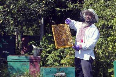 Bir adam bir arı kovanı İnşaat