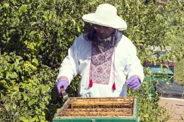 Bir adam bir arı kovanı İnşaat