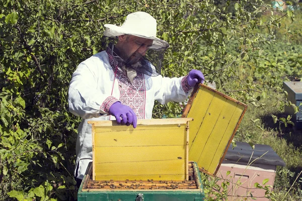 Un uomo lavora in un apiario — Foto Stock