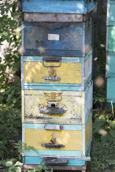 Arı kovanı arıcılık — Stok fotoğraf