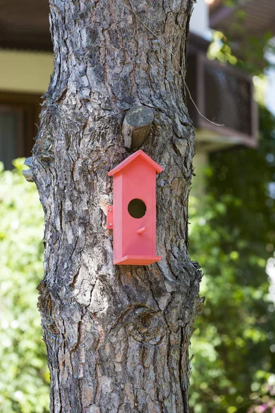 Birdhouse na stromě — Stock fotografie