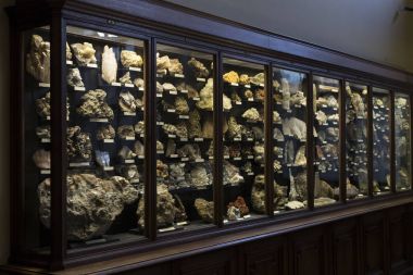  Sergiler ve sergi içinde Doğal Tarih Müzesi, Viyana.