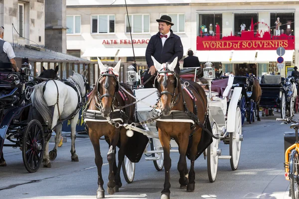 Geleneksel atlı arabaları ile eski Viyana sokaklarında yürümeyi turistler için kabinler.