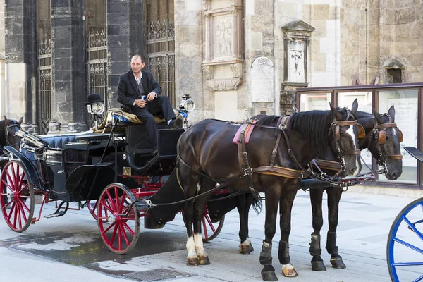 与出租车游客沿着古老的街道的维也纳传统马车. — 图库照片