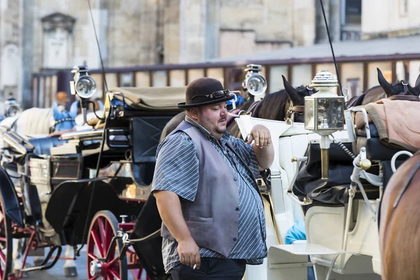 Geleneksel atlı arabaları ile eski Viyana sokaklarında yürümeyi turistler için kabinler.