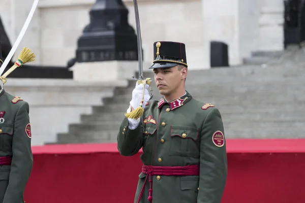 Katonák a Magyar Honvédség, a bejáratnál a Parlament-Szent István napjának tiszteletére ünnepi beszéde. — Stock Fotó