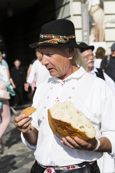 Feria folclórica tradicional en honor de St. Istvan y el primer hlet en Hungría con artesanos folklóricos.Budapest. Hungría —  Fotos de Stock