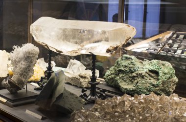 Sergiler ve sergi içinde Doğal Tarih Müzesi, Viyana.