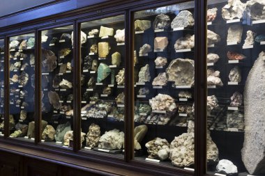 Sergiler ve sergi içinde Doğal Tarih Müzesi, Viyana.