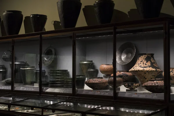 Sergiler ve sergi içinde Doğal Tarih Müzesi, Viyana.