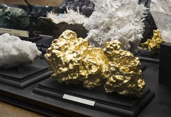 Sergiler ve sergi içinde Doğal Tarih Müzesi, Viyana.