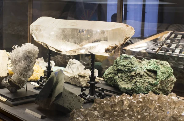 Sergiler ve sergi içinde Doğal Tarih Müzesi, Viyana.