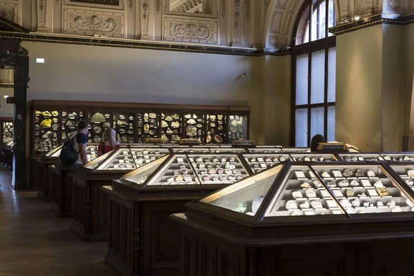 Sergiler ve sergi içinde Doğal Tarih Müzesi, Viyana.