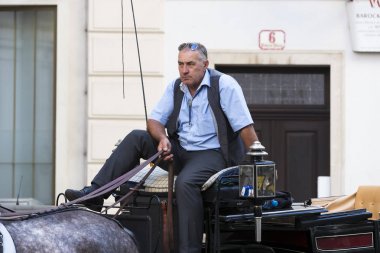 Geleneksel atlı arabaları ile eski Viyana sokaklarında yürümeyi turistler için kabinler. 