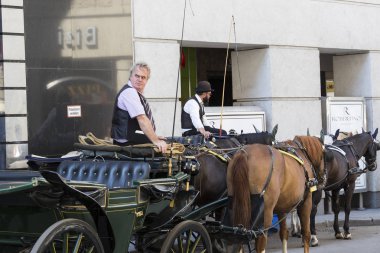 Geleneksel atlı arabaları ile eski Viyana sokaklarında yürümeyi turistler için kabinler. 