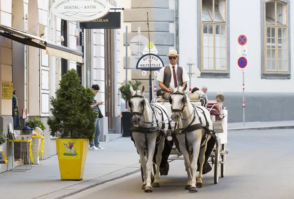 Carruagens tradicionais puxadas a cavalo com táxis para os turistas caminharem pelas ruas antigas de Viena . — Fotografia de Stock