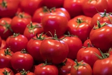 birçok domates arka plan