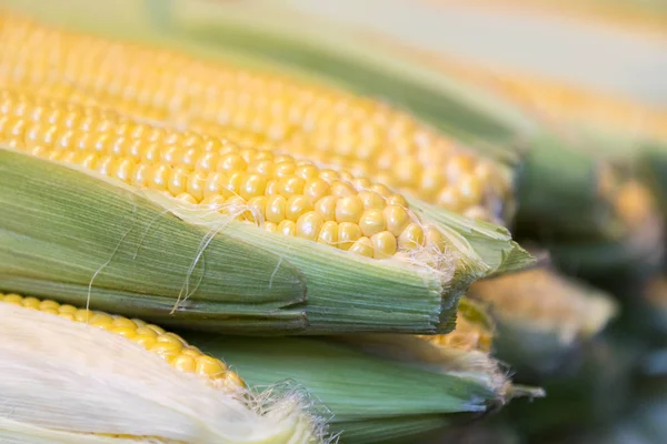 Mısır ile vurdu sarı mısır yakın çekim